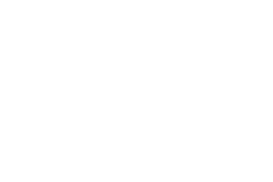 Vertpro Logo